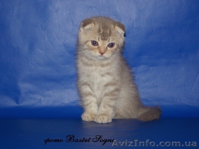 маленькая кукла - <ro>Изображение</ro><ru>Изображение</ru> #2, <ru>Объявление</ru> #916171