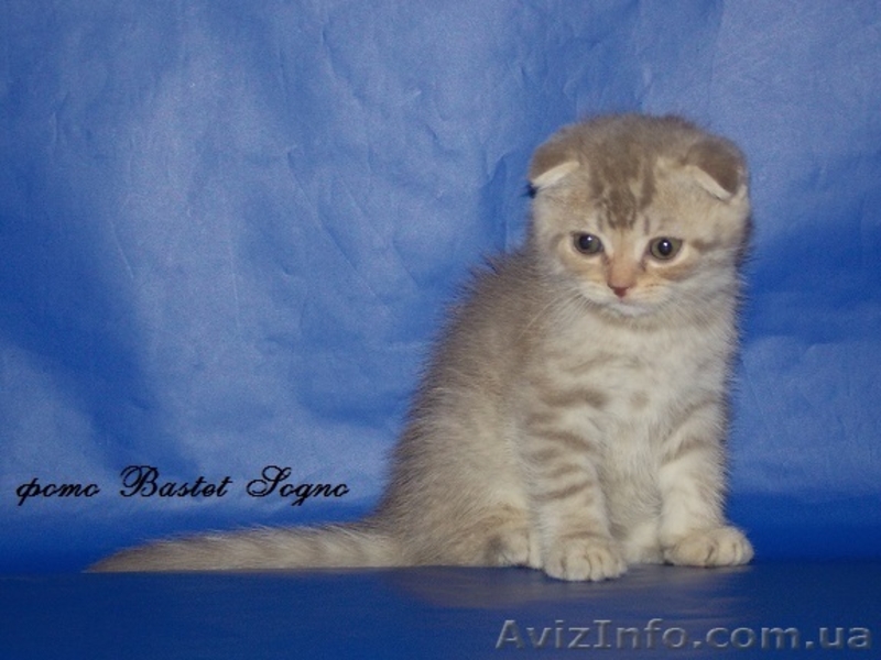 маленькая кукла - <ro>Изображение</ro><ru>Изображение</ru> #1, <ru>Объявление</ru> #916171