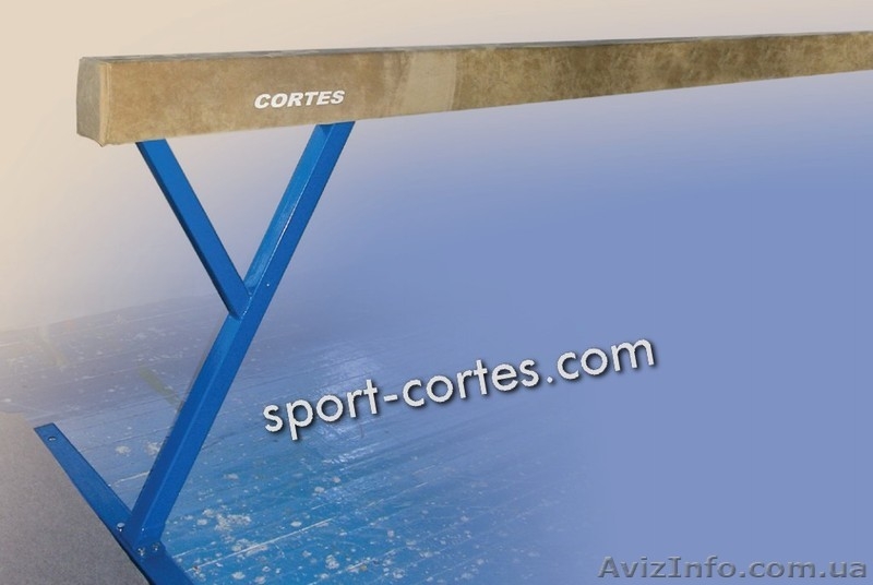 Разработка, изготовление, поставка спортивного оборудования - <ro>Изображение</ro><ru>Изображение</ru> #6, <ru>Объявление</ru> #910454