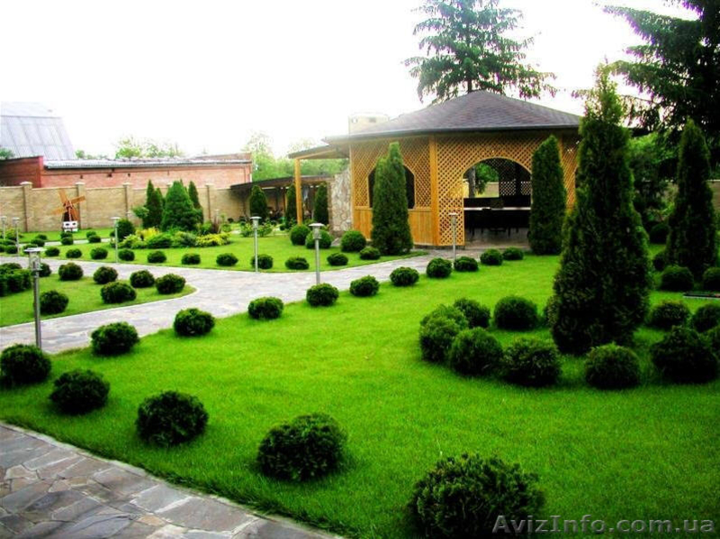 Создание газонов (посевных и рулонных) - <ro>Изображение</ro><ru>Изображение</ru> #4, <ru>Объявление</ru> #924504