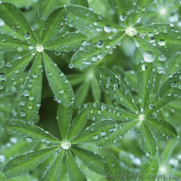 Напольные, настенные плитки и панно с изображением в формате 3D - <ro>Изображение</ro><ru>Изображение</ru> #4, <ru>Объявление</ru> #927451