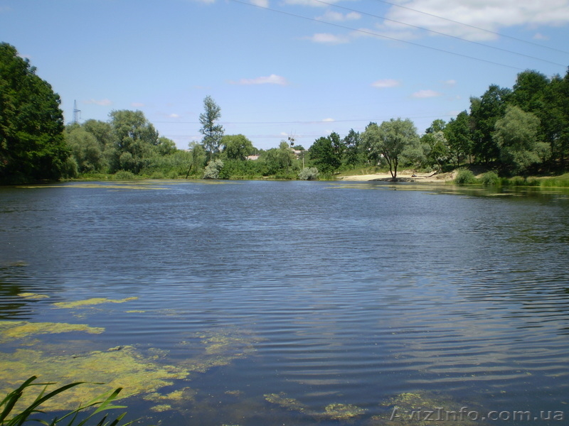 Отличное  место для отдыха (дача) - <ro>Изображение</ro><ru>Изображение</ru> #6, <ru>Объявление</ru> #934638