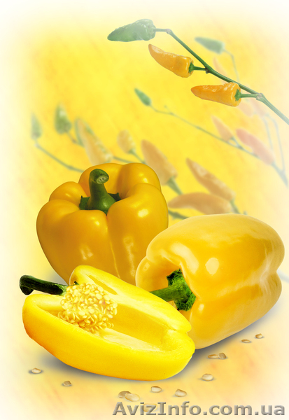 Напольные, настенные плитки и панно с изображением в формате 3D - <ro>Изображение</ro><ru>Изображение</ru> #1, <ru>Объявление</ru> #927451