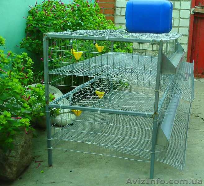 Клетки для перепелов (новые и б\у) - <ro>Изображение</ro><ru>Изображение</ru> #3, <ru>Объявление</ru> #951601