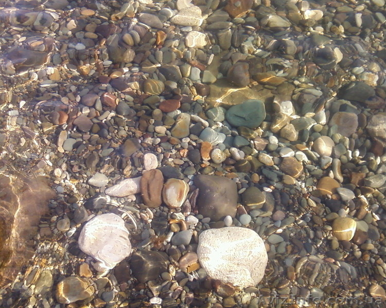 Продам свою дачу в Севастополе на Фиоленте  - <ro>Изображение</ro><ru>Изображение</ru> #8, <ru>Объявление</ru> #944707