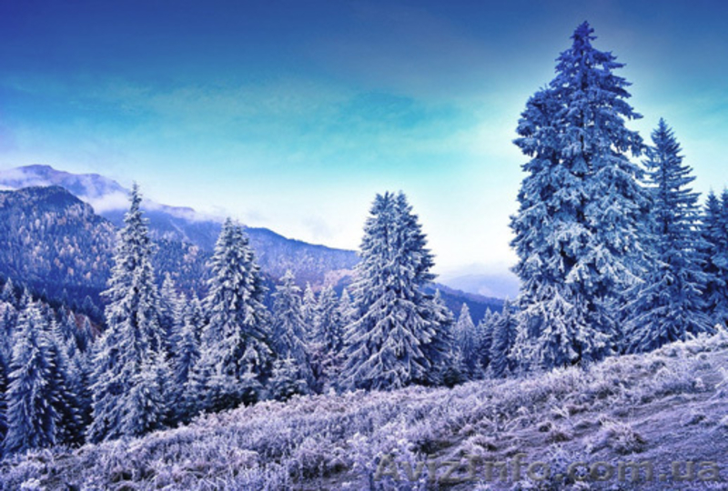 Туры на Рождество 2013 в Карпаты из Харькова. Буковель, Яремче, Ясиня, Львов  - <ro>Изображение</ro><ru>Изображение</ru> #9, <ru>Объявление</ru> #759277