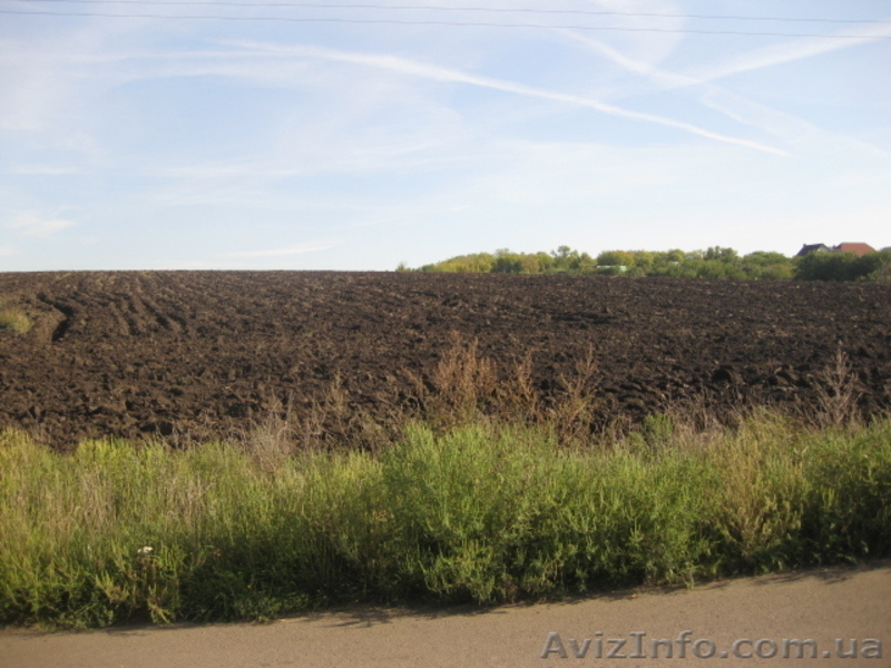 Предлагаю земельные  участки  от 2 -10 га гос.акт   находятс в  р-не Кулиничи - <ro>Изображение</ro><ru>Изображение</ru> #5, <ru>Объявление</ru> #961462