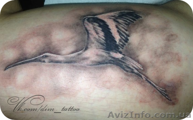 Тату салон в Харькове - <ro>Изображение</ro><ru>Изображение</ru> #3, <ru>Объявление</ru> #965430