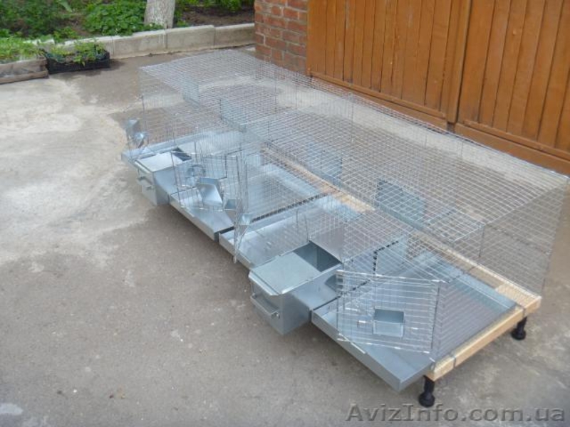 Фермерские клетки для шиншилл - <ro>Изображение</ro><ru>Изображение</ru> #1, <ru>Объявление</ru> #137740