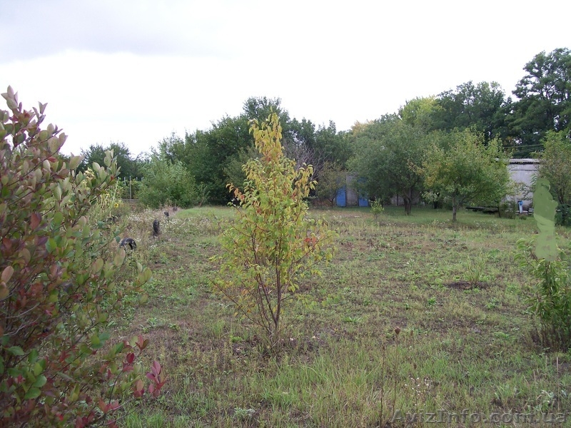 Прекрасная дача сразу за Дергачами (2 км), рядом жд станция (1,5 км) и автобус - <ro>Изображение</ro><ru>Изображение</ru> #8, <ru>Объявление</ru> #974730