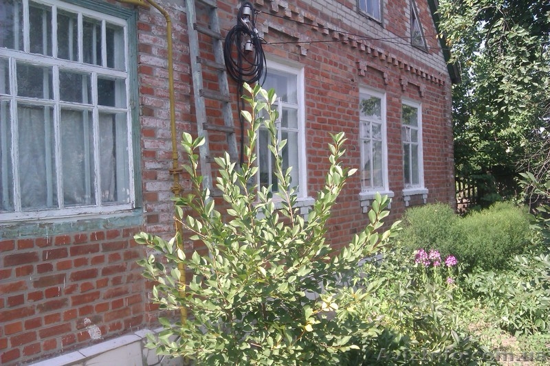 продам дом 120кв.м Харьковская обл. Змиевской р-н  - <ro>Изображение</ro><ru>Изображение</ru> #3, <ru>Объявление</ru> #973711