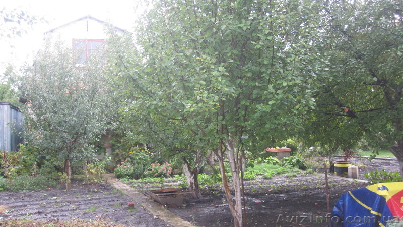 Продам дачу, Старый Салтов - <ro>Изображение</ro><ru>Изображение</ru> #7, <ru>Объявление</ru> #980697