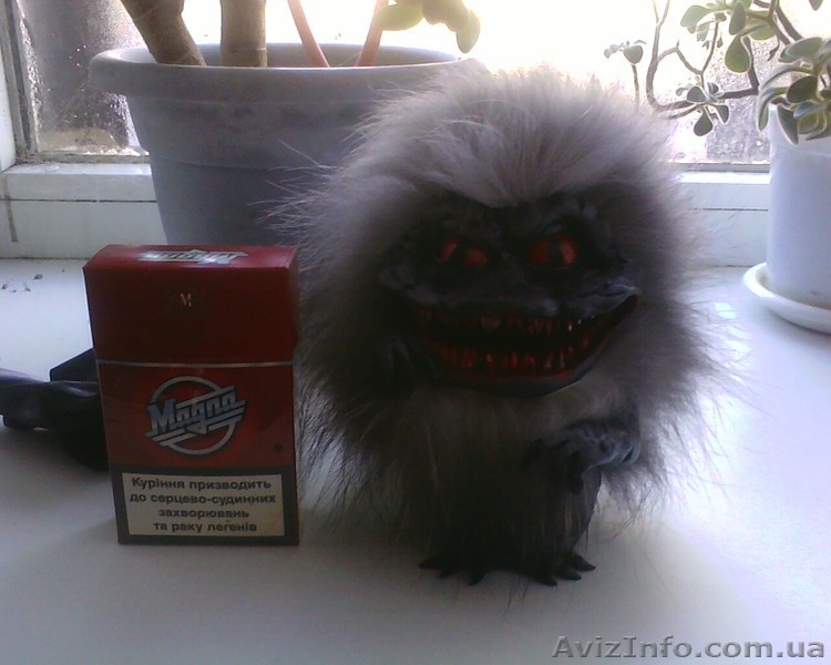 Продам Зубастика - <ro>Изображение</ro><ru>Изображение</ru> #5, <ru>Объявление</ru> #986502