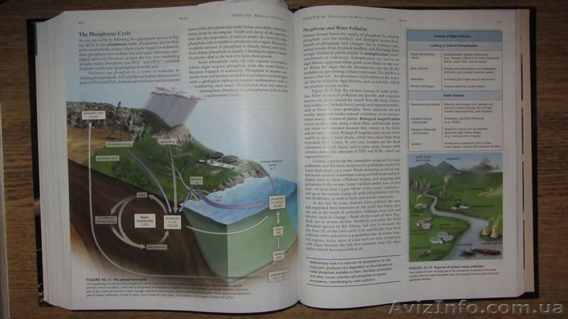 Biology \ Биология - <ro>Изображение</ro><ru>Изображение</ru> #3, <ru>Объявление</ru> #993595