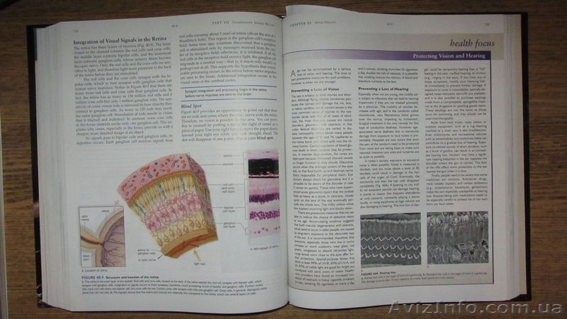 Biology \ Биология - <ro>Изображение</ro><ru>Изображение</ru> #4, <ru>Объявление</ru> #993595