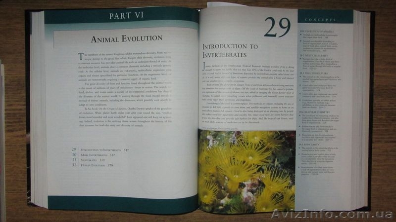 Biology \ Биология - <ro>Изображение</ro><ru>Изображение</ru> #5, <ru>Объявление</ru> #993595