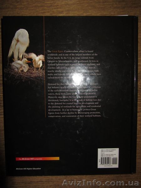 Biology \ Биология - <ro>Изображение</ro><ru>Изображение</ru> #9, <ru>Объявление</ru> #993595