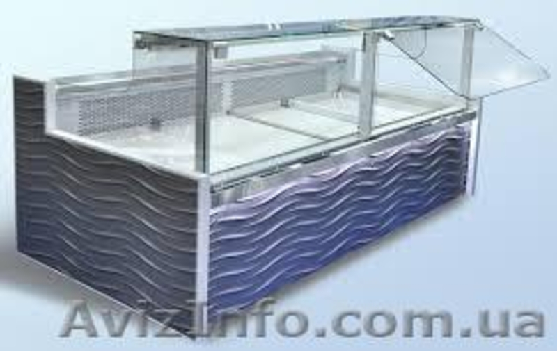 Торговое оборудование холодильные витрины - <ro>Изображение</ro><ru>Изображение</ru> #7, <ru>Объявление</ru> #994649