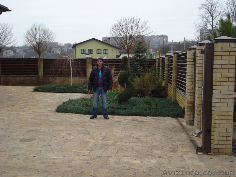 Ель голубая « Engeimannii » (h 1.50м – h 1.70м) - <ro>Изображение</ro><ru>Изображение</ru> #7, <ru>Объявление</ru> #1006000