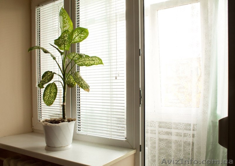 Сдам свою 1 к квартиру напротив Дворец спорта wi-f- 180 грн - <ro>Изображение</ro><ru>Изображение</ru> #4, <ru>Объявление</ru> #940394