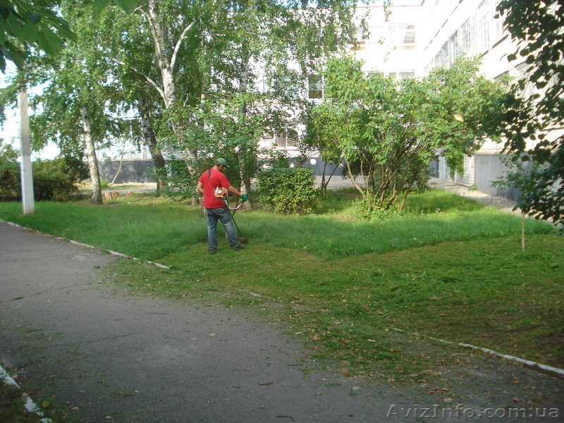 ПОКОС ТРАВЫ, БУРЬЯНА, КАМЫША И ДРУГИХ СОРНЯКОВ - <ro>Изображение</ro><ru>Изображение</ru> #3, <ru>Объявление</ru> #1006014