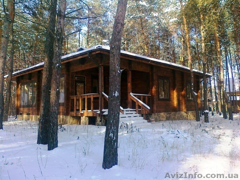 Деревяный дом в сосновом лесу. с. Революционное. - <ro>Изображение</ro><ru>Изображение</ru> #3, <ru>Объявление</ru> #1038355