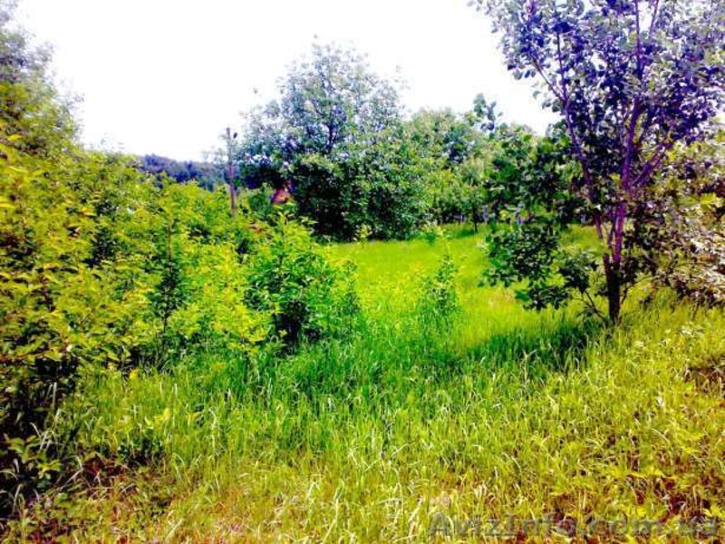 Продается приватизированный дачный участок 12 соток - <ro>Изображение</ro><ru>Изображение</ru> #3, <ru>Объявление</ru> #1040068