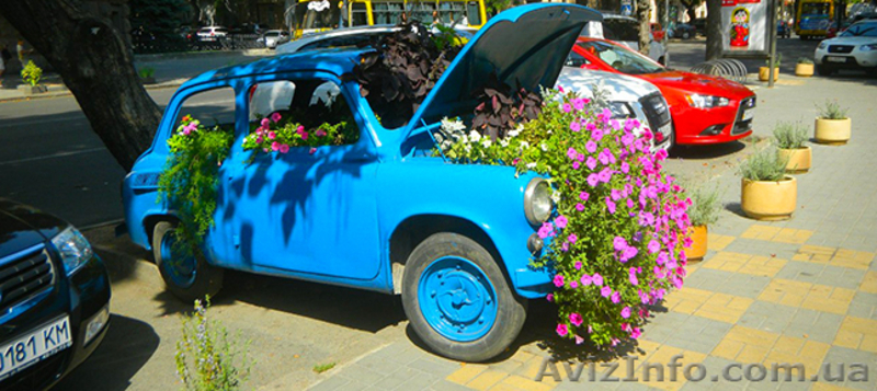 Отдых на майские праздники. Туры из Харькова во Львов, Закарпатье, Одессу 2014 - <ro>Изображение</ro><ru>Изображение</ru> #7, <ru>Объявление</ru> #1063680