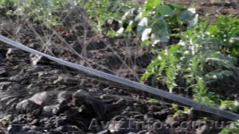 Шланг Туман (Golden Spray) опт крупный опт. - <ro>Изображение</ro><ru>Изображение</ru> #3, <ru>Объявление</ru> #1072481