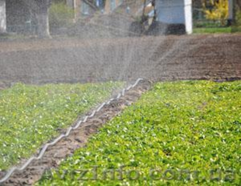 Шланг Туман (Golden Spray) опт крупный опт. - <ro>Изображение</ro><ru>Изображение</ru> #5, <ru>Объявление</ru> #1072481