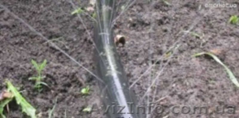 Шланг Туман (Golden Spray) опт крупный опт. - <ro>Изображение</ro><ru>Изображение</ru> #6, <ru>Объявление</ru> #1072481