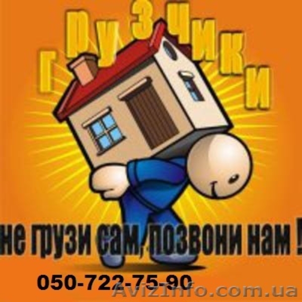 Грузчики, услуги грузчиков, автоперевозка - <ro>Изображение</ro><ru>Изображение</ru> #1, <ru>Объявление</ru> #1105206