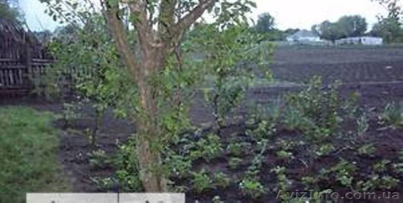 Дом 80м2 с уч 34 сот  - <ro>Изображение</ro><ru>Изображение</ru> #7, <ru>Объявление</ru> #762858