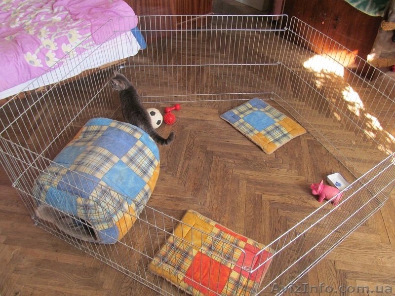 манеж для щенков или котят 100х100хh60 см - <ro>Изображение</ro><ru>Изображение</ru> #2, <ru>Объявление</ru> #1106729