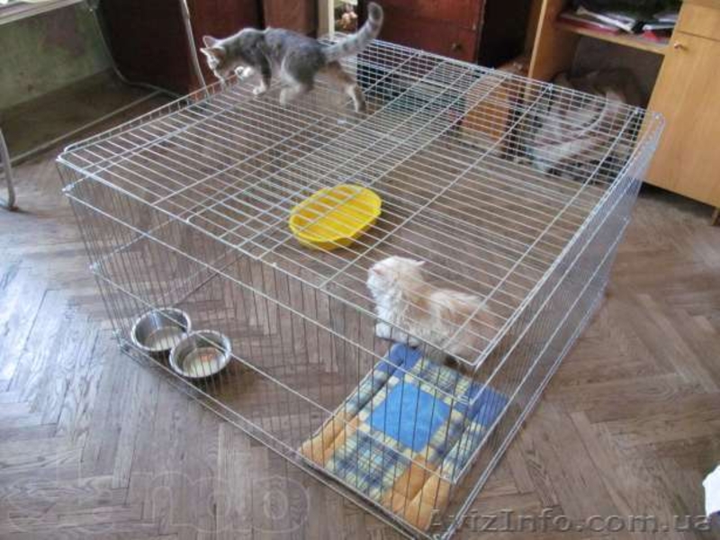 манеж для щенков или котят 100х100хh60 см - <ro>Изображение</ro><ru>Изображение</ru> #5, <ru>Объявление</ru> #1106729