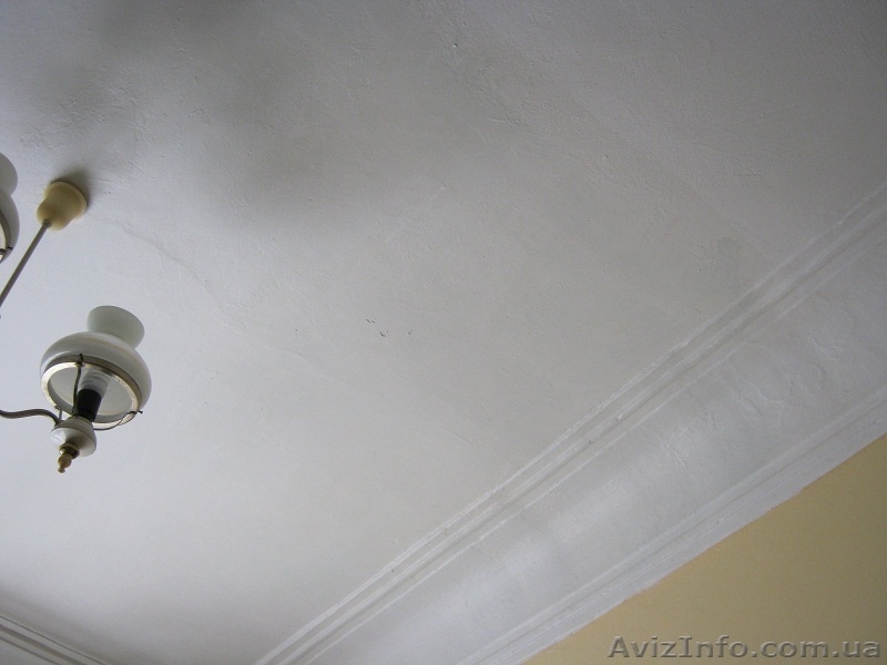 ECOLOR BLOCK COAT - средство для нейтрализации пятен на стенах и потолках. - <ro>Изображение</ro><ru>Изображение</ru> #3, <ru>Объявление</ru> #1132169