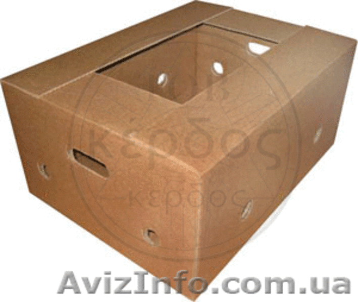 Гофротара для хранения и транспортировки яблок и груш - <ro>Изображение</ro><ru>Изображение</ru> #3, <ru>Объявление</ru> #1139569