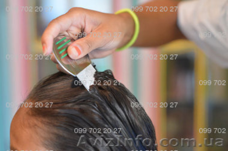 Гребень Nit Free (AntiV, ASSY 2000, Nitty Gritty) - средство от вшей и гнид №1 в - <ro>Изображение</ro><ru>Изображение</ru> #6, <ru>Объявление</ru> #1154189