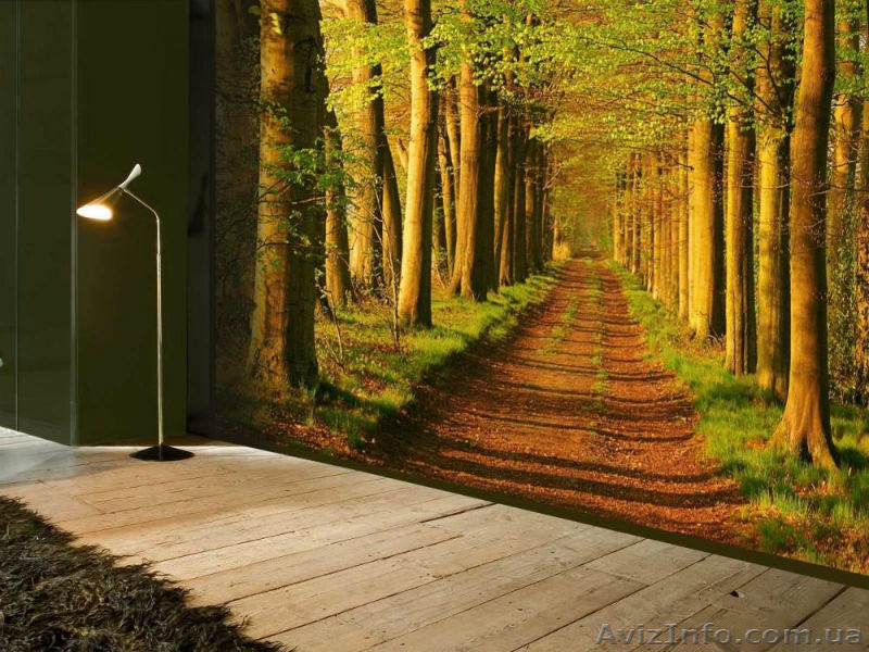 Фотообои заказать в Харькове — салон Artis! - <ro>Изображение</ro><ru>Изображение</ru> #5, <ru>Объявление</ru> #1170805