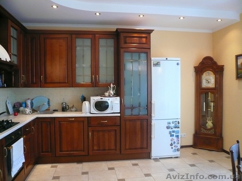 Продам элитный дом, Флоринка - <ro>Изображение</ro><ru>Изображение</ru> #3, <ru>Объявление</ru> #1172276