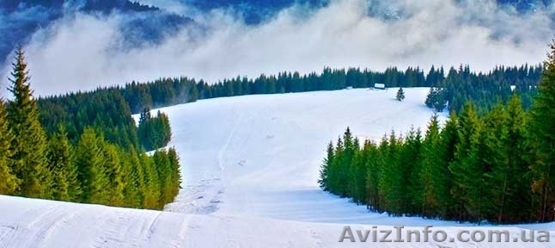 Туры в Карпаты, Львов, Закарпатье, Европу на Новый год и Рождество 2015 - <ro>Изображение</ro><ru>Изображение</ru> #9, <ru>Объявление</ru> #1176115