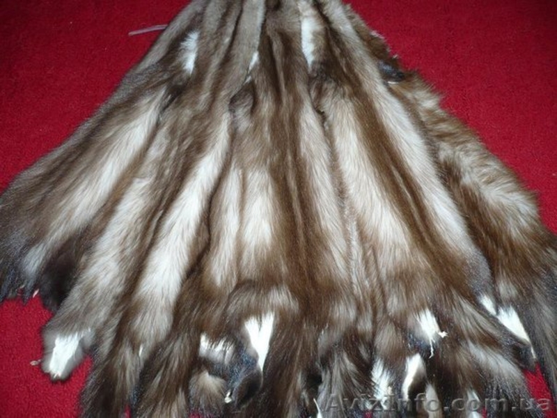 Продажа меха из первых рук, недорого - <ro>Изображение</ro><ru>Изображение</ru> #3, <ru>Объявление</ru> #1178974