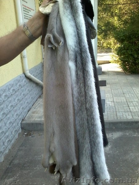 Продажа меха из первых рук, недорого - <ro>Изображение</ro><ru>Изображение</ru> #1, <ru>Объявление</ru> #1178974