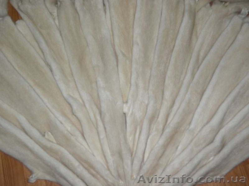 Продажа меха из первых рук, недорого - <ro>Изображение</ro><ru>Изображение</ru> #2, <ru>Объявление</ru> #1178974