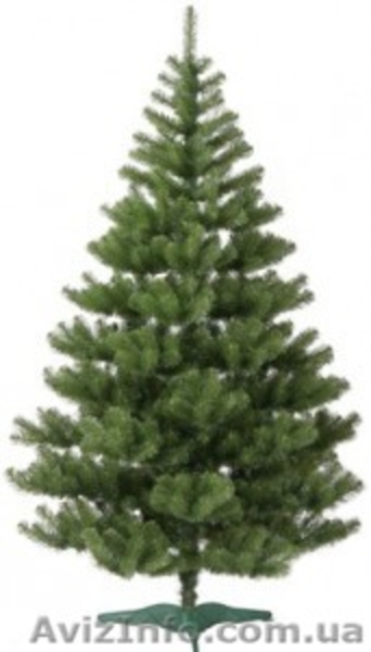 Новогодние ели по выгодной цене - <ro>Изображение</ro><ru>Изображение</ru> #3, <ru>Объявление</ru> #1183299