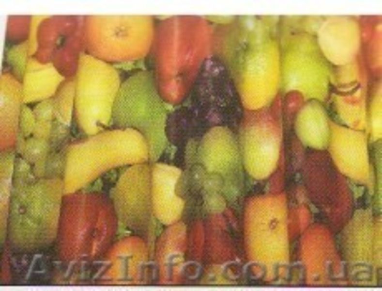 Клеенка, пленка  - <ro>Изображение</ro><ru>Изображение</ru> #2, <ru>Объявление</ru> #1183309