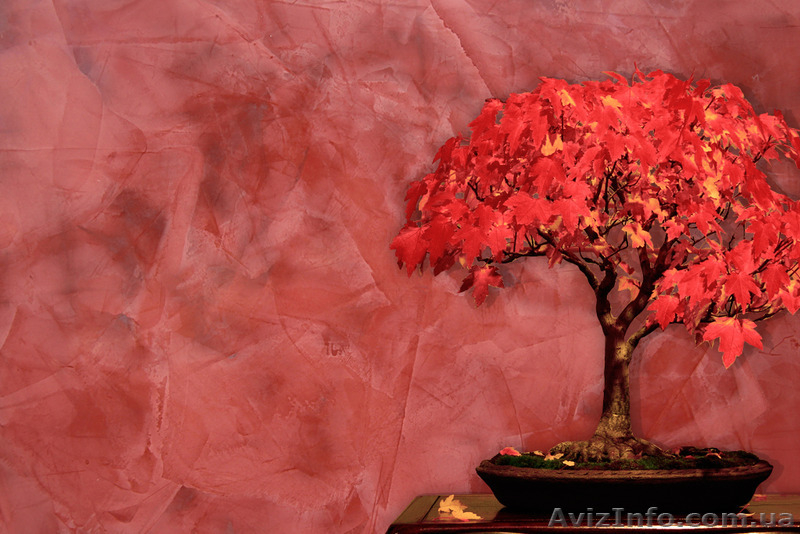 Продажа и нанесение декоративных штукатурок Харьков! - <ro>Изображение</ro><ru>Изображение</ru> #1, <ru>Объявление</ru> #1217074