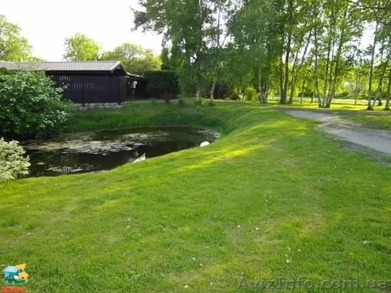 ПОКОС ТРАВЫ, БУРЬЯНА, КАМЫША И ДРУГИХ СОРНЯКОВ !  - <ro>Изображение</ro><ru>Изображение</ru> #3, <ru>Объявление</ru> #1217986