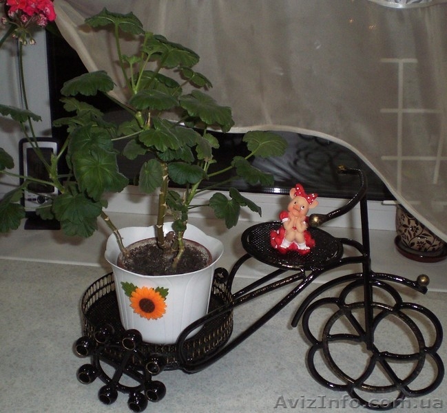 Продам кованную подставку для цветов - <ro>Изображение</ro><ru>Изображение</ru> #4, <ru>Объявление</ru> #1171705