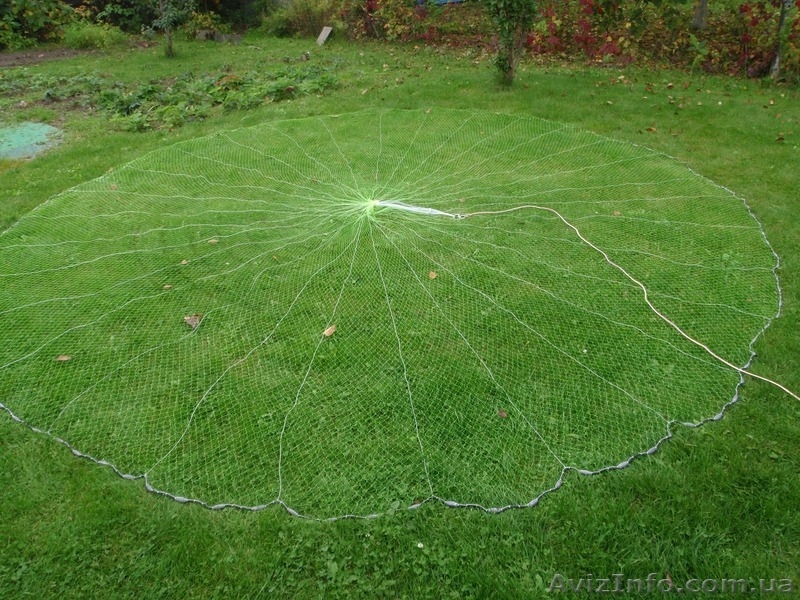 Кастигновую сеть - <ro>Изображение</ro><ru>Изображение</ru> #2, <ru>Объявление</ru> #1235615